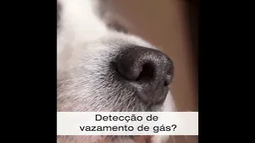 Detecção de vazamento de gás com testo 316-2