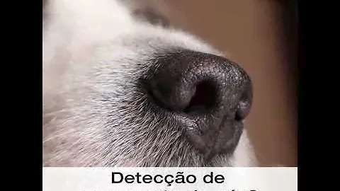 Detecção de vazamento de gás com testo 316-2