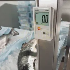 Testo 174T с USB-интерфейсом