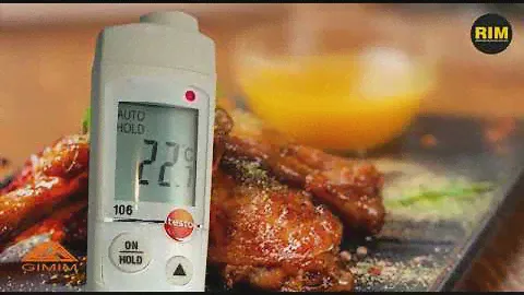 testo 106, el termómetro ideal para la medición en alimentos